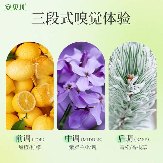 安贝儿  植物精粹香氛沐浴露压泵款460ml 商品图2