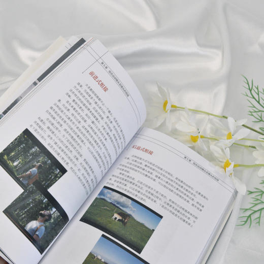 专业视频剪辑师全流程手册 短视频后期剪辑剪映教程书从*开始学做短视频制作剪辑教程抖音快手自媒体创作 商品图3