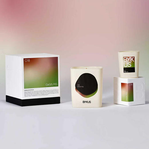 BYKUS香氛蜡烛 | 家用沙龙香氛蜡烛小众家用190g 商品图0