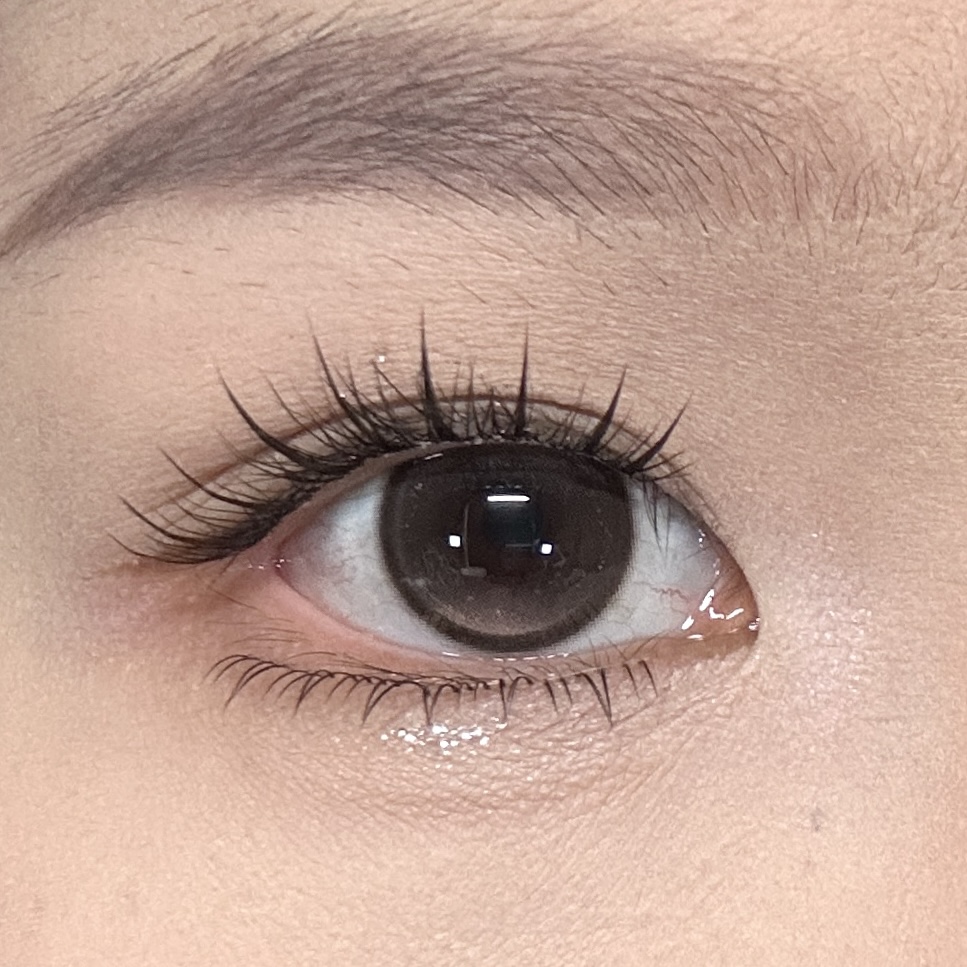 watermelens半年抛  云朵蒸糕 棕 14.5mm 含硅水凝胶