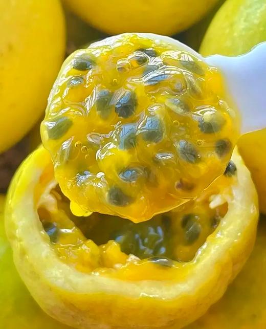 旗舰店品质黄金百香果精选钦蜜*2盒 商品图3