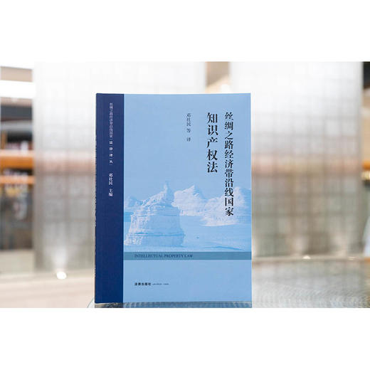 丝绸之路经济带沿线国家知识产权法 邓社民等译 法律出版社 商品图1