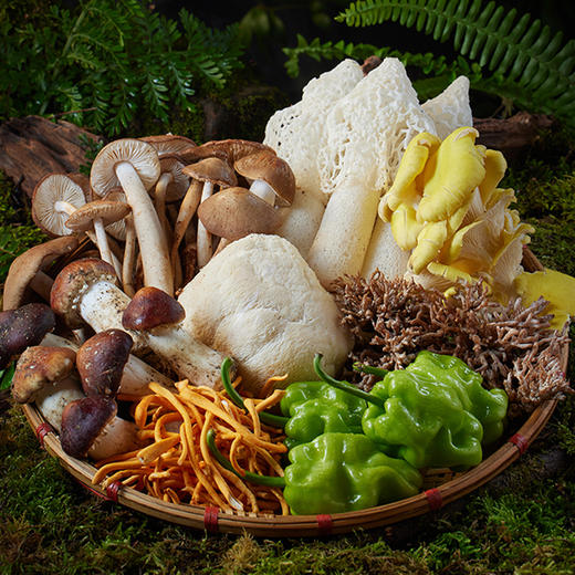 宁正丰七彩菌宴鲜品398型（菌彩盛宴装） （净含量：1200克）卡券/现货直发 商品图0