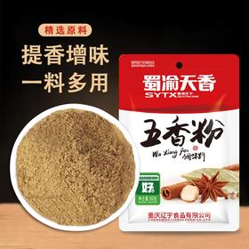 蜀渝天香五香粉50g