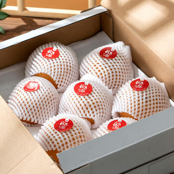 京鲜生 长城羊脂秋月梨 5斤装 超大果5-6粒 单果400g+ 生鲜水果 商品图3