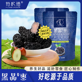 裕杞福 宁夏黑晶玉枣 香甜不腻 肉多核小 300g/包