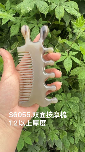 S6055 双面按摩梳
