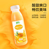 【全国包邮】沙棘果汁 疆果乐（300ml*10瓶） 商品缩略图2