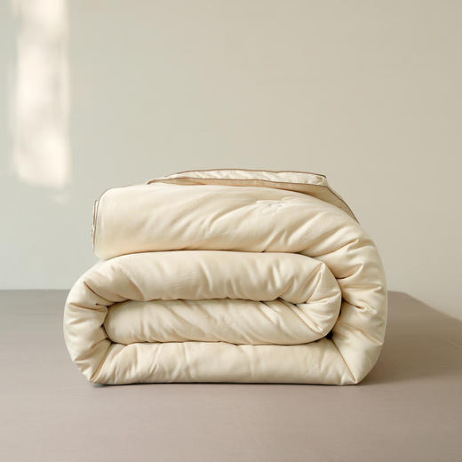 肽素润肤被-冬被-香槟色-200*230cm  2750g 商品图5