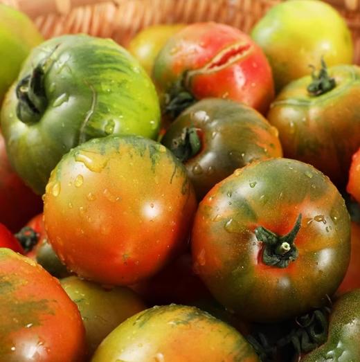 【自营悠选】正宗品牌富和盘锦盐碱地草莓铁皮柿子顺丰包邮*5斤 商品图0