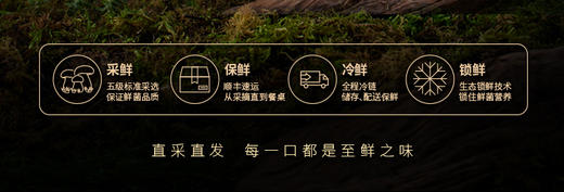 菌鸡处鲜品698型（菌彩装） 净含量：3000克） 卡券/鲜品直发 商品图1