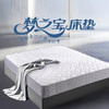 雅芳婷梦之宝床垫家用卧室零压高回弹海绵床垫六环精钢弹簧床垫 商品缩略图0