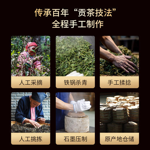 【超级爆款】2023年金奖同知城攸乐200年老树头春357g生饼整提5片 商品图1