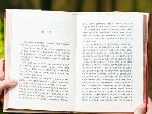 《文学名家作品集》（精装全8册·彩虹植物花纹刷边）， 人民日报书单、一线语文教师推荐， 商品图3