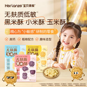 Herlanze宝贝易餐无麸质米酥100克（三种口味可选）