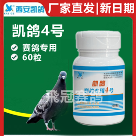 凯鸽4号凯鸽四号胶囊60粒病毒绿便赛鸽信鸽保健日常