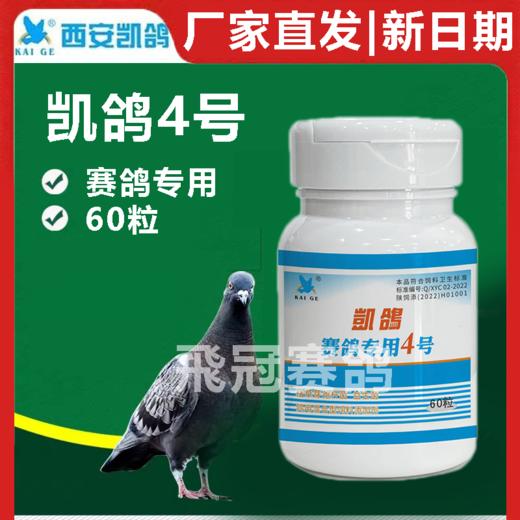 凯鸽4号凯鸽四号胶囊60粒病毒绿便赛鸽信鸽保健日常 商品图0