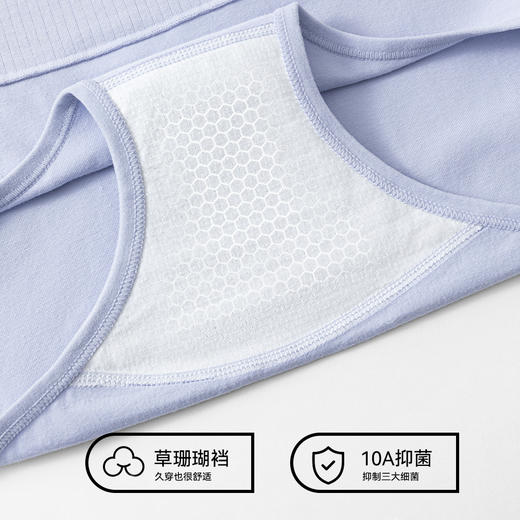 热卖！9cm高腰收腹！【超值5条！】Secret World 秘密世界 精梳棉 抑菌收腹提臀女士内裤  10A双层抑菌裆 舒适安全 独立包装 B62 商品图3