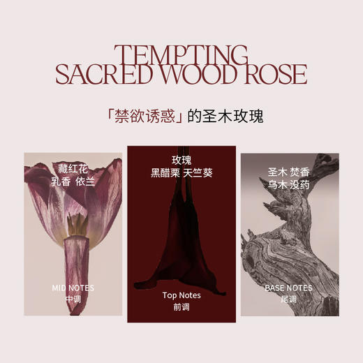 IMSOLE不定所蝴蝶罪魁柔软刺猬浮游家女巫黑修女人鱼姬香水 商品图5