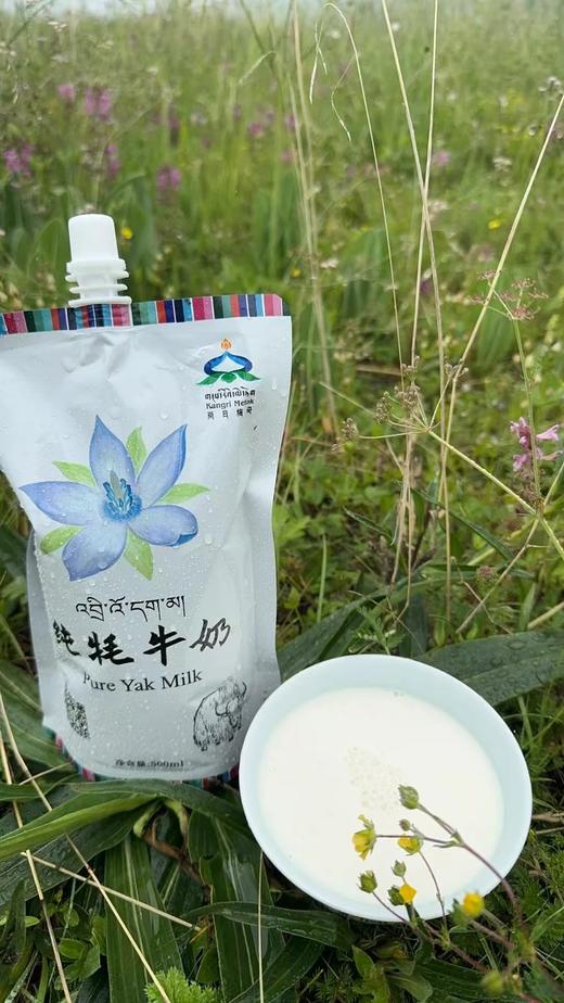 青藏高原纯牦牛奶|0添加高钙半脱脂牛奶  |意大利工艺|基地直发 商品图1