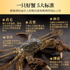 一价到底【咏礼记大闸蟹】阳澄美味，蟹中珍品，膏香盈溢，金脂香软！下单即送法国原装红酒卡一张！ 商品缩略图1