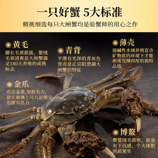 一价到底【咏礼记大闸蟹】阳澄美味，蟹中珍品，膏香盈溢，金脂香软！下单即送法国原装红酒卡一张！ 商品图1