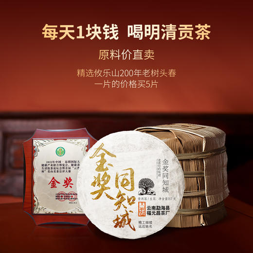 【超级爆款】2023年金奖同知城攸乐200年老树头春357g生饼整提5片 商品图4