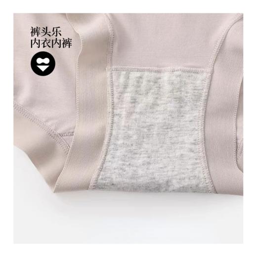 袜尖尖 裤头乐女款内裤 商品图5