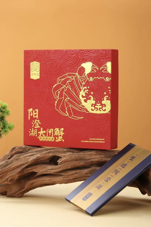 【蟹阳澄】阳澄湖大闸蟹 礼品蟹卡金秋肥美大闸蟹！ 商品图0