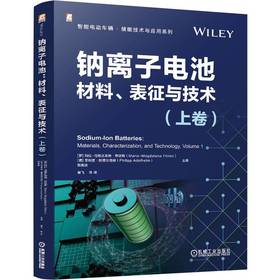 官网 钠离子电池 材料 表征与技术 上卷 玛拉 马格达莱纳 蒂廷斯 钠离子电池材料技术理论研究现状产业应用发展书籍