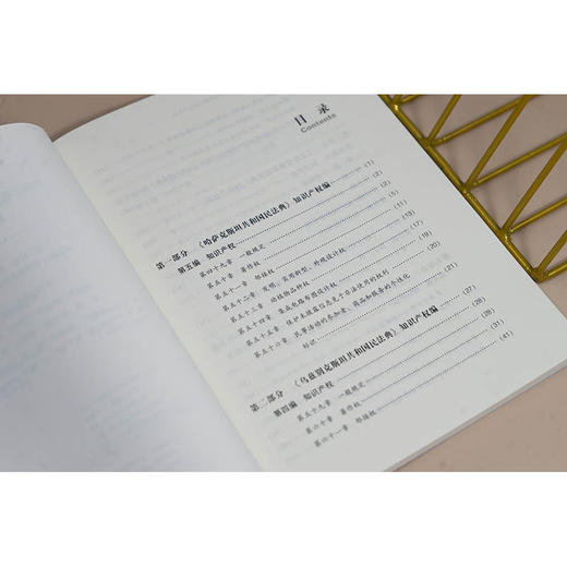 丝绸之路经济带沿线国家知识产权法 邓社民等译 法律出版社 商品图3