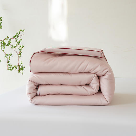 艾草养肤被-冬被-粉色-200*230cm  2500g 商品图7