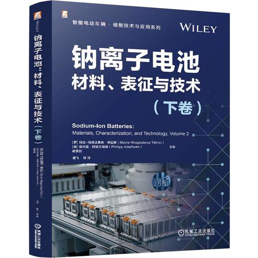 官网 钠离子电池 材料 表征与技术 下卷 玛拉 马格达莱纳 蒂廷斯 钠离子电池材料理论技术应用书籍 商品图0