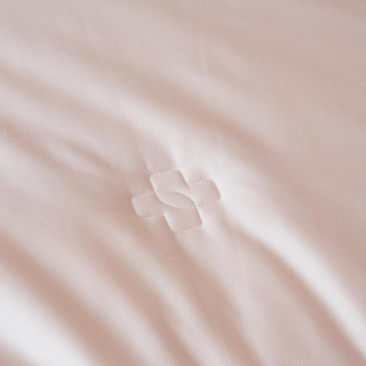 艾草养肤被-冬被-粉色-200*230cm  2500g 商品图3