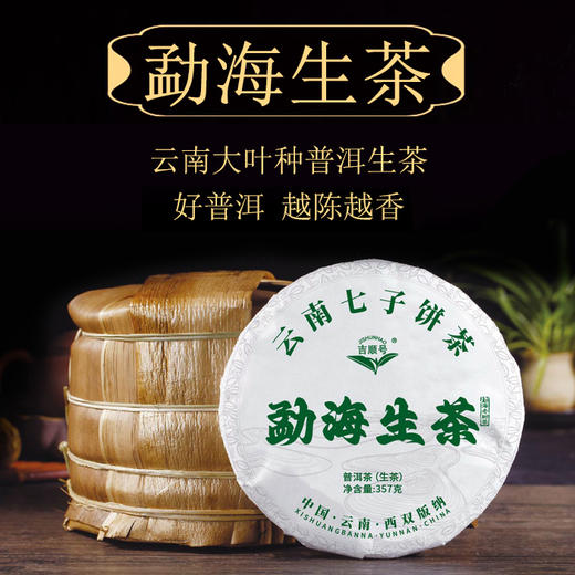 吉顺号普洱茶叶2023年勐海生茶饼357克/饼现货批发 商品图4