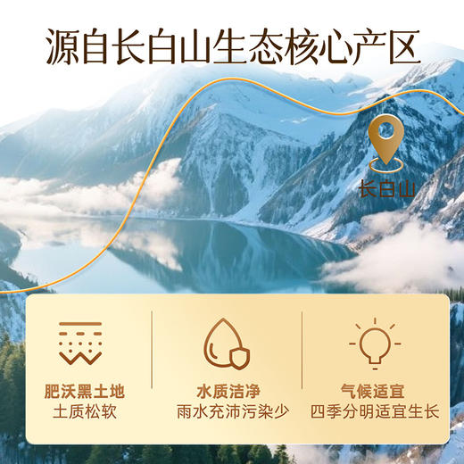 【礼盒装】雷允上西洋参（72g/盒） 商品图4