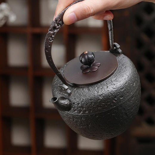 暗香疏影/铁壶/宝罐壶/手工无涂层铸铁壶烧水壶老铁壶茶壶 商品图1