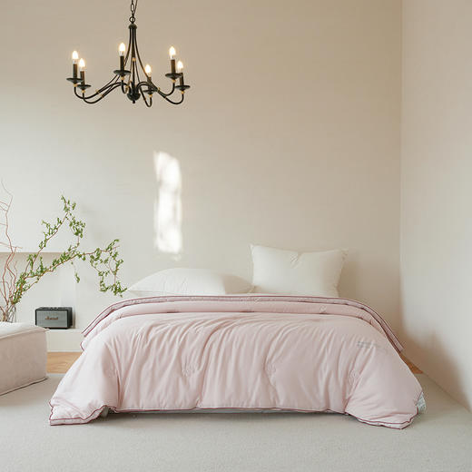 艾草养肤被-冬被-粉色-200*230cm  2500g 商品图0