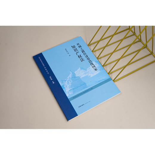 丝绸之路经济带沿线国家知识产权法 邓社民等译 法律出版社 商品图4