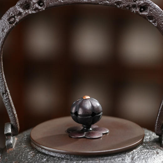 暗香疏影/铁壶/宝罐壶/手工无涂层铸铁壶烧水壶老铁壶茶壶 商品图2