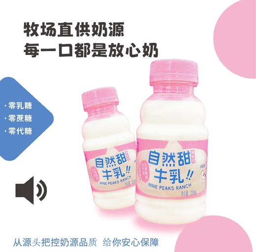 预售3-7天发货&九峰牧场自然甜&5.0牛乳牛奶#自然甜牛乳无乳糖好吸收&5.0优质乳蛋白高钙纯牛奶，短保15天，顺丰发货 商品图1
