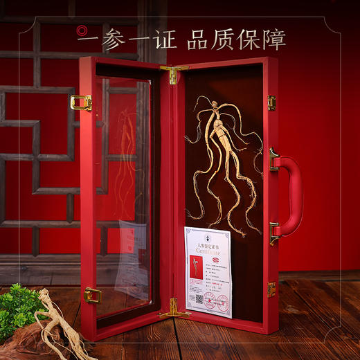 热销M【野山参开窗礼盒】长白山人参野山参礼盒装 一参一证8g/15g 商品图4