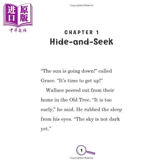 【中商原版】华莱士和格蕾丝 接手案件 Wallace and Grace Take the case 英文原版 儿童章节故事侦探推理 全彩插图 进口书 商品图3