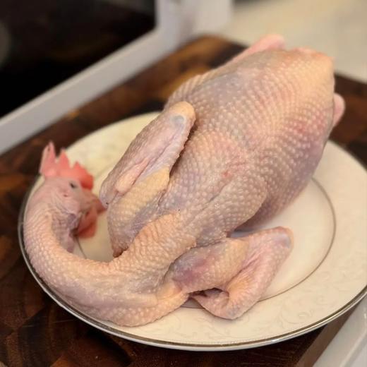 天农原种供港「清远鸡」| 清远鸡保种单位，出口级供港企业直供，鸡有鸡味，白水煮都巨鲜 商品图4