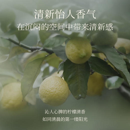 【双12狂欢】橪柠檬精油5ml 单方精油 商品图6