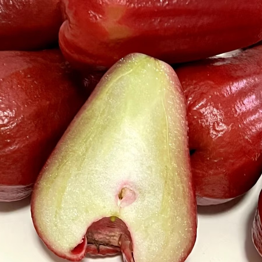 莲雾姐莲雾大果