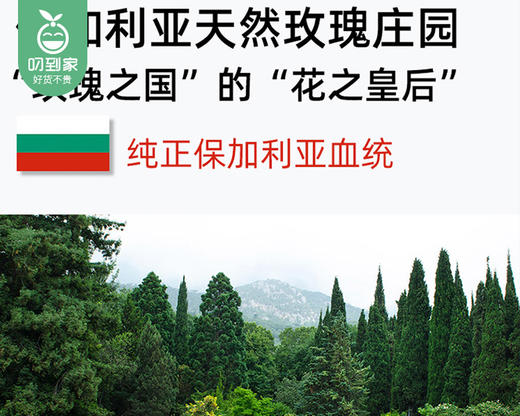 麦卡洛活力玫瑰洗衣液/1瓶（5kg） 商品图3