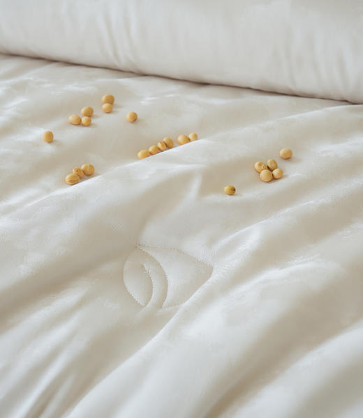 植物大豆暖润被-冬被-银灰色-200*230cm 2750g 商品图6