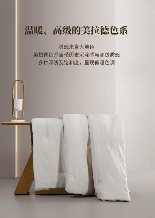 10楼 梦洁 水洗磨毛大豆四季被：七彩二代 吊牌价799元-899元活动价499元-599元 商品图3