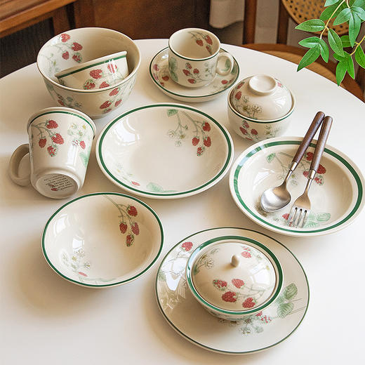 摩登主妇法式漂亮餐具碗碟家用2025新款好看的餐盘子碗具饭碗汤碗 商品图2